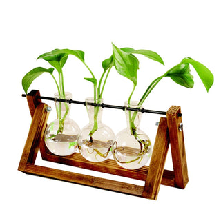 Glass Bottle Vase Hydroponic Plant Transparent Vase Wooden Frame Coffee Shop Terrarium Creative Hydroponic Plant Transparent Vase Wooden Frame vase decoratio Glass Tabletop Plant Bonsai Decor flower vase